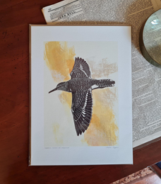 Print: Sandpiper by Angie Rogers