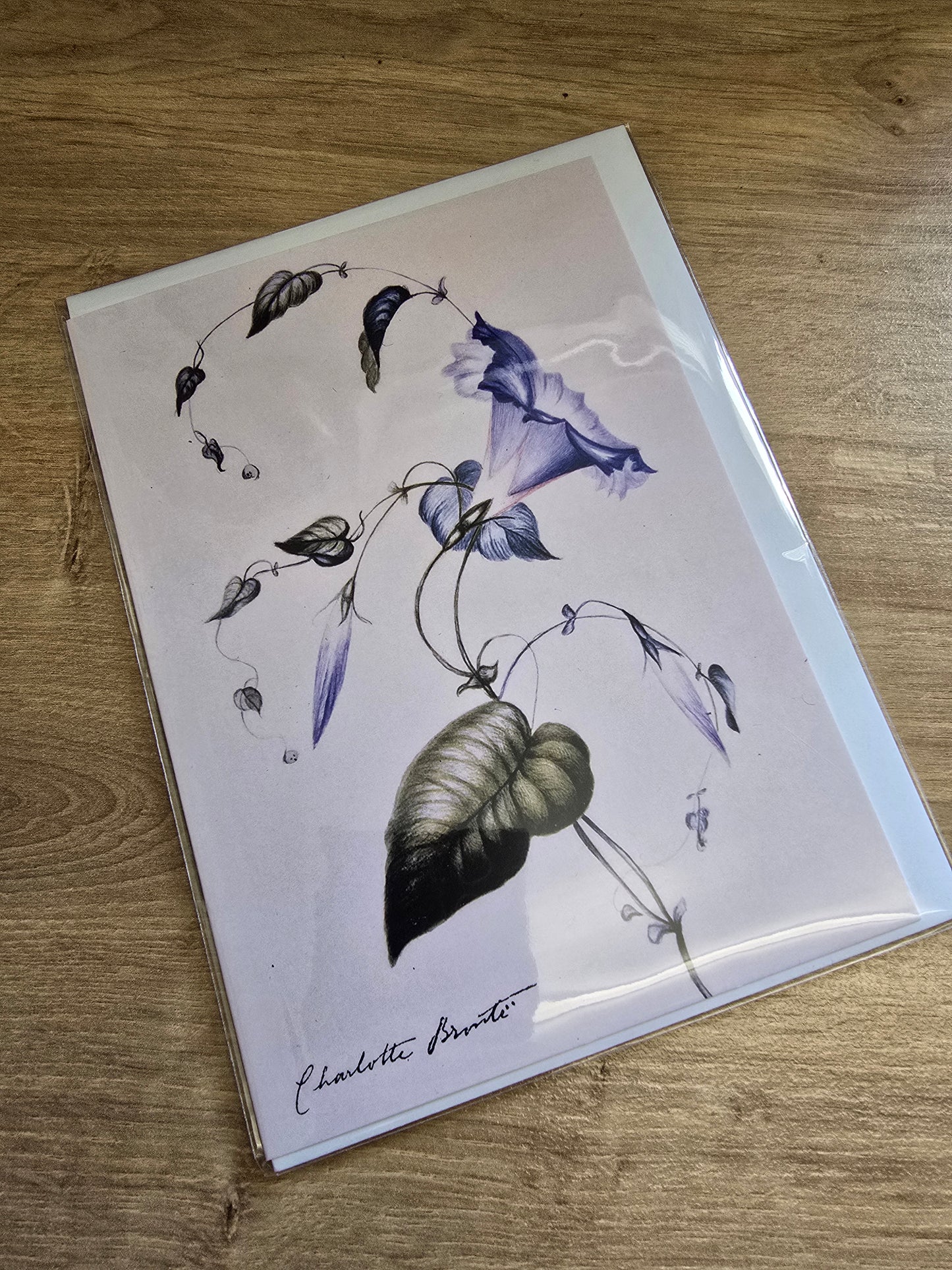 Botanicals: Blue Convolvulus Greetings Card