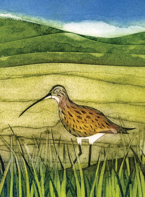 Curlew - Wild Birds Pocket Notebook