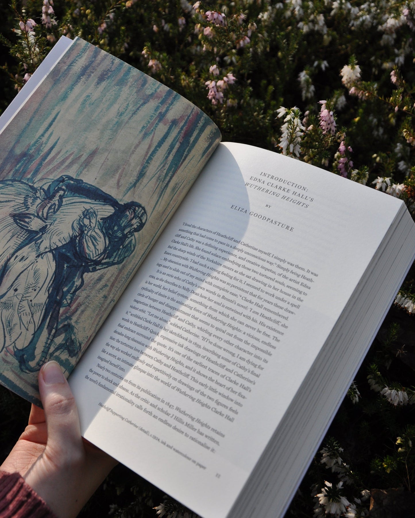 Wuthering Heights, illustrated by Edna Clarke Hall