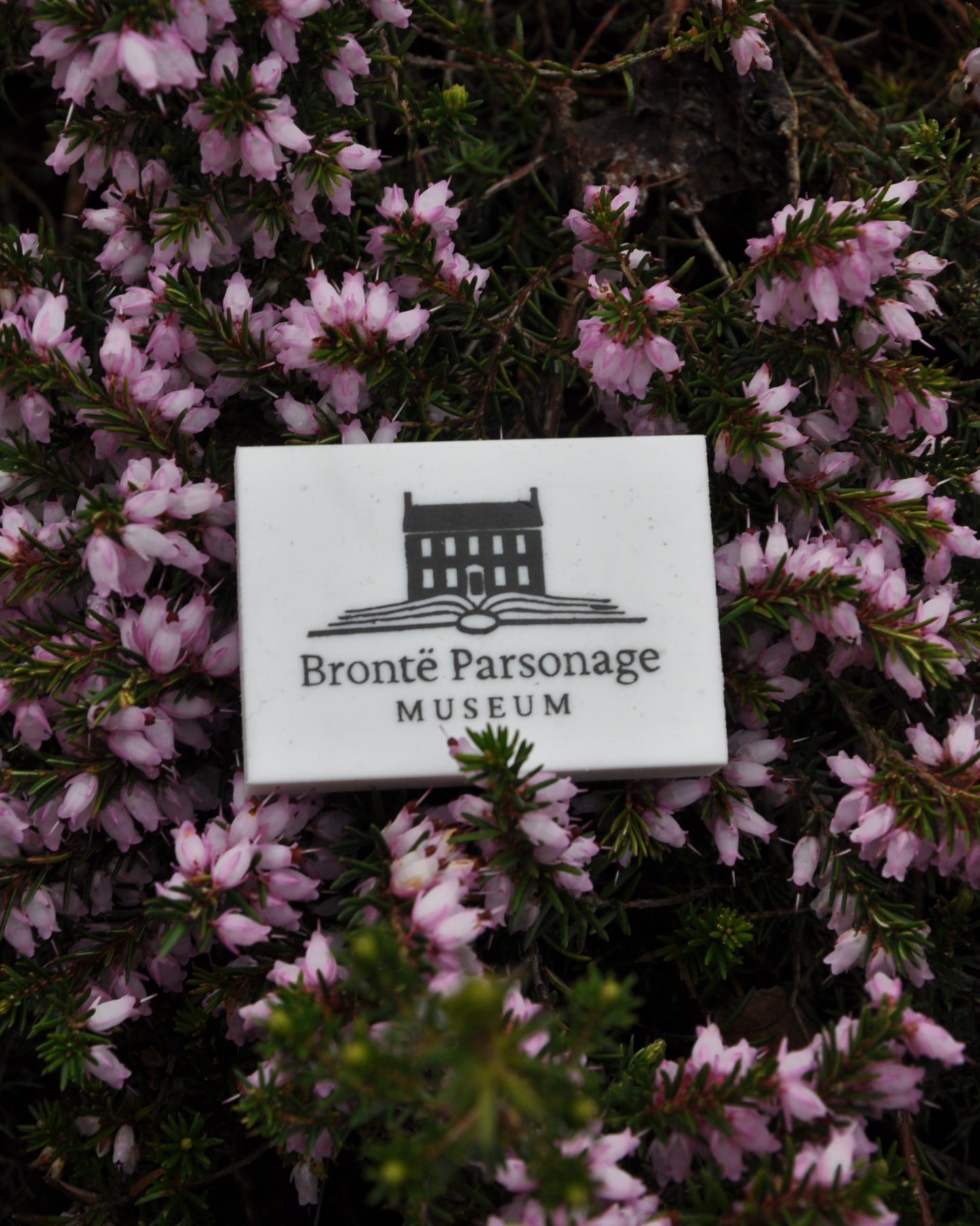 Museum Logo Eraser