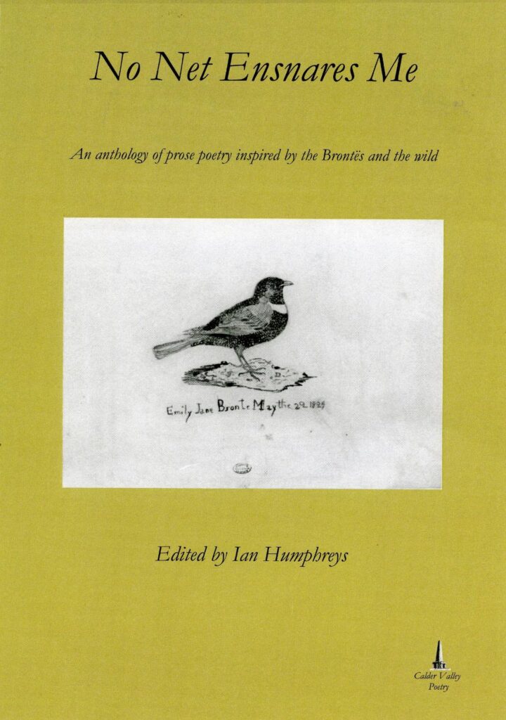 No Net Ensnares Me, by Ian Humphreys