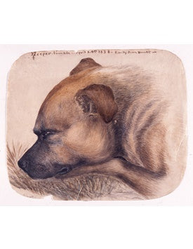 Poster: Keeper - From Life