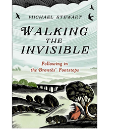 Walking the invisible, by Michael Stewart