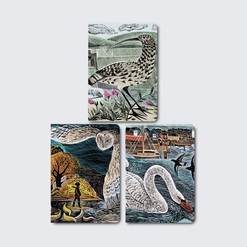 Angela Harding: Wildlife Set of 3 Mini Notebooks