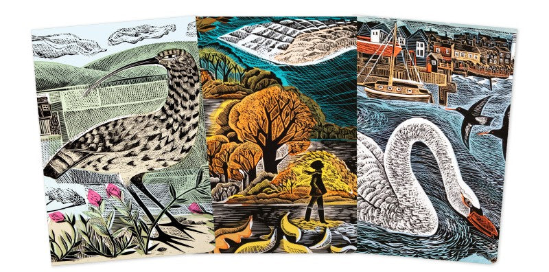 Angela Harding: Wildlife Set of 3 Medium (Midi) Notebooks