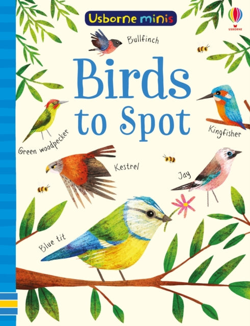 Birds to spot
