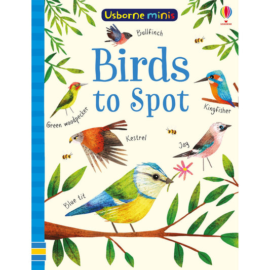 Birds to spot