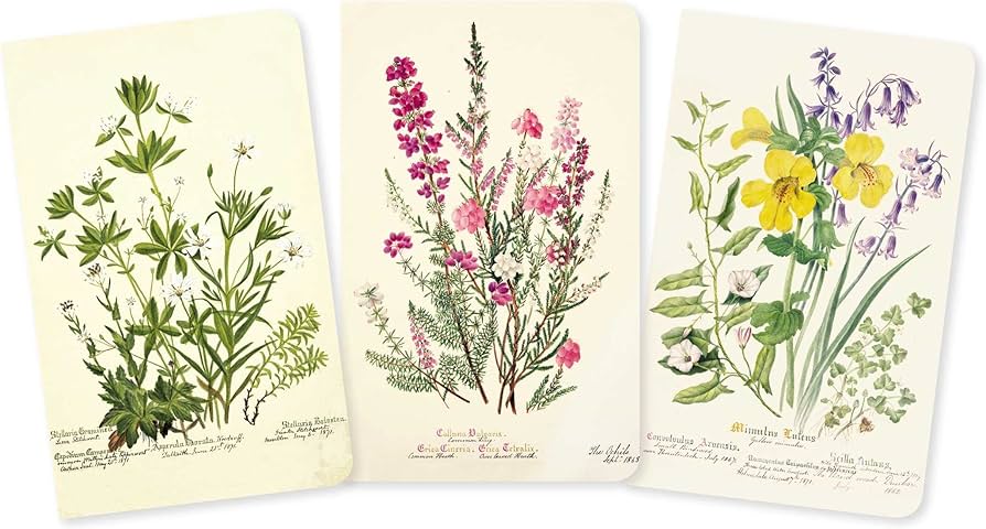 Royal Botanic Garden Edinburgh Set of 3 Mini Notebooks