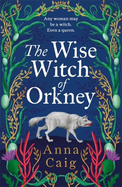 The Wise Witch of Orkney A spell-binding debut novel about Scotland’s witch-hunting hysteria by Anna Caig