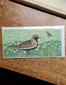 Greetings Card: Golden Plover by Angie Rogers