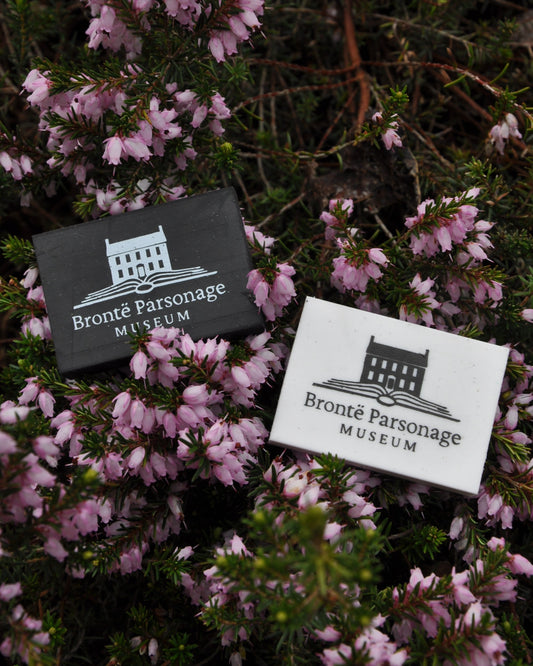 Museum Logo Eraser