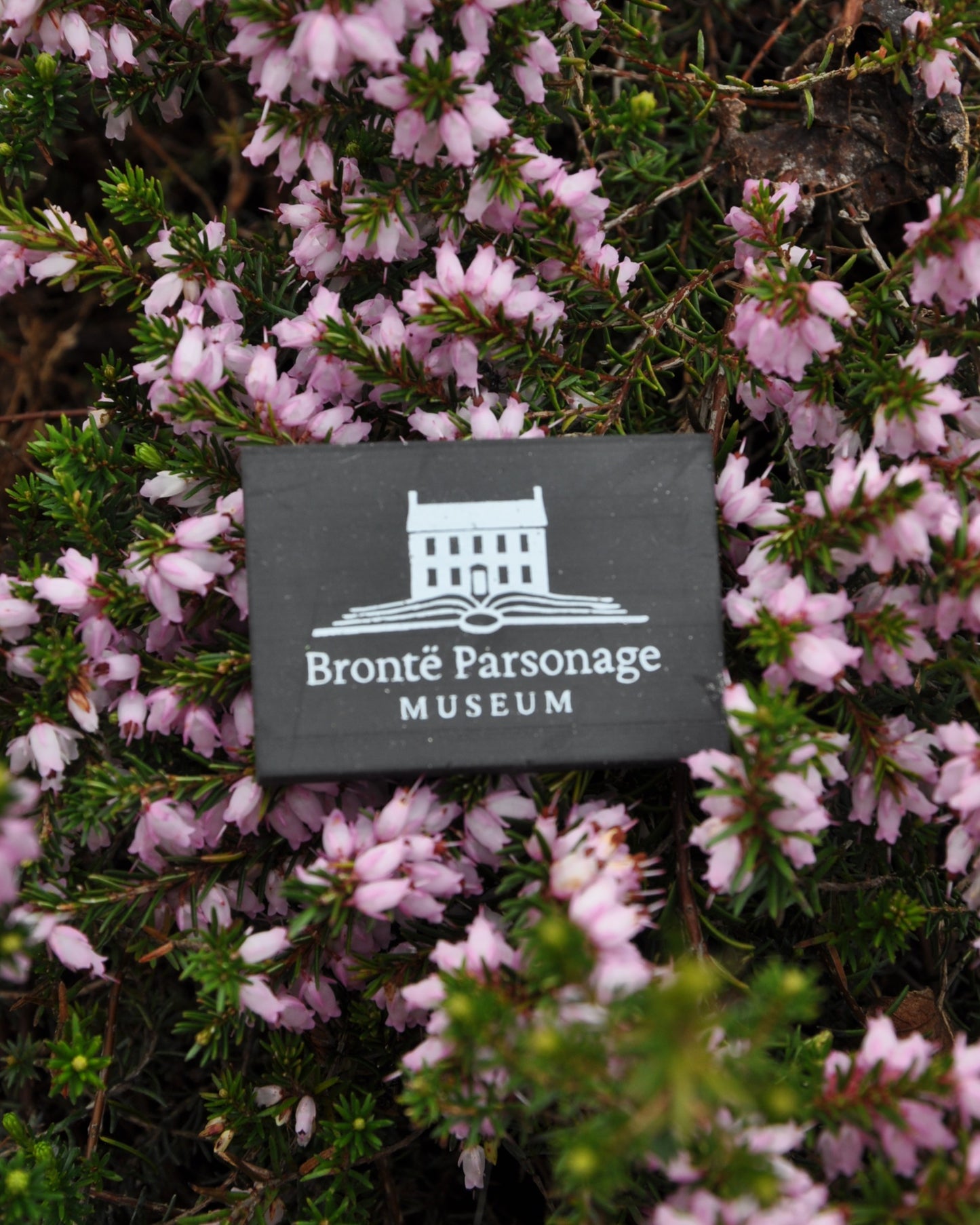 Museum Logo Eraser