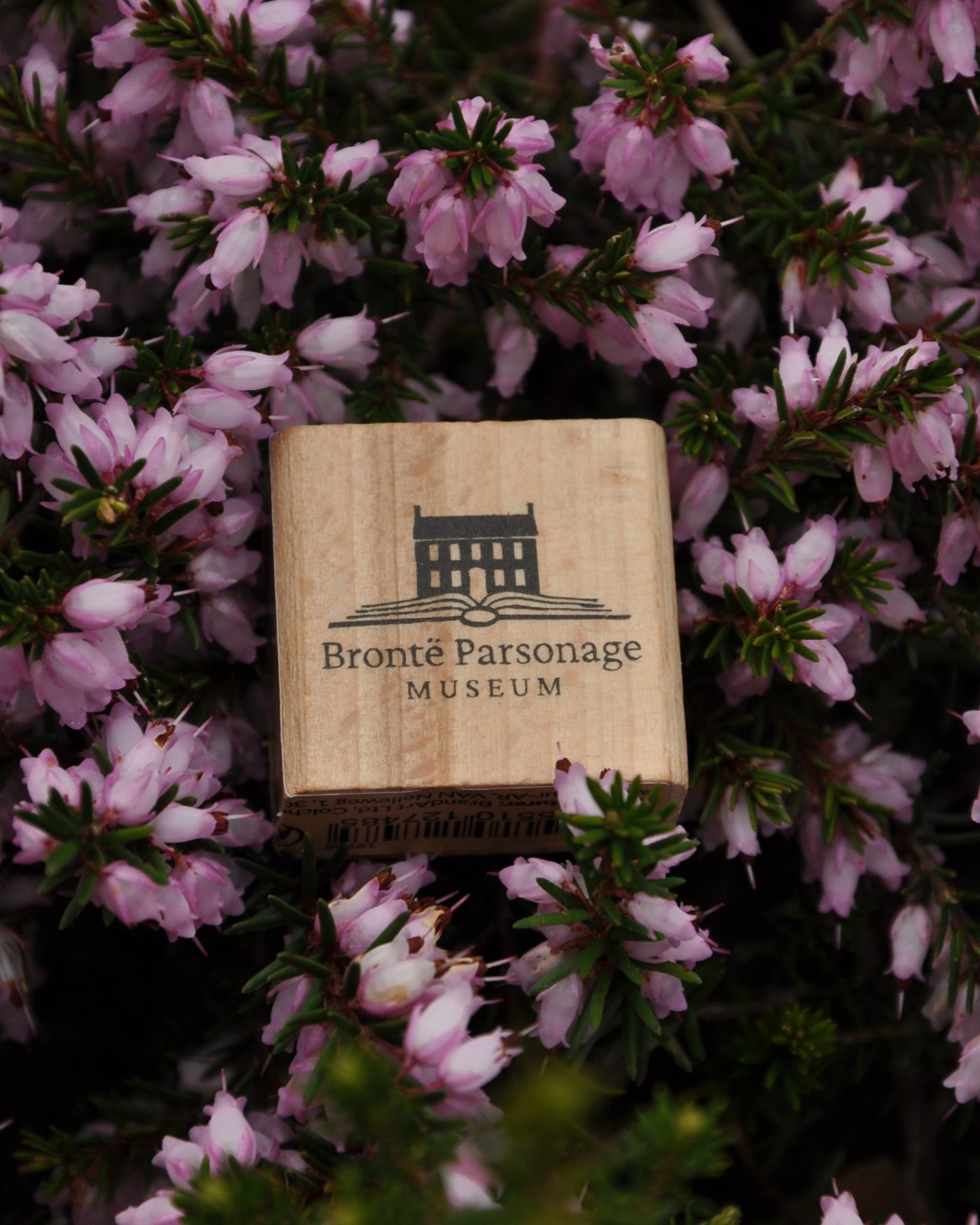 Wooden Pencil Sharpener