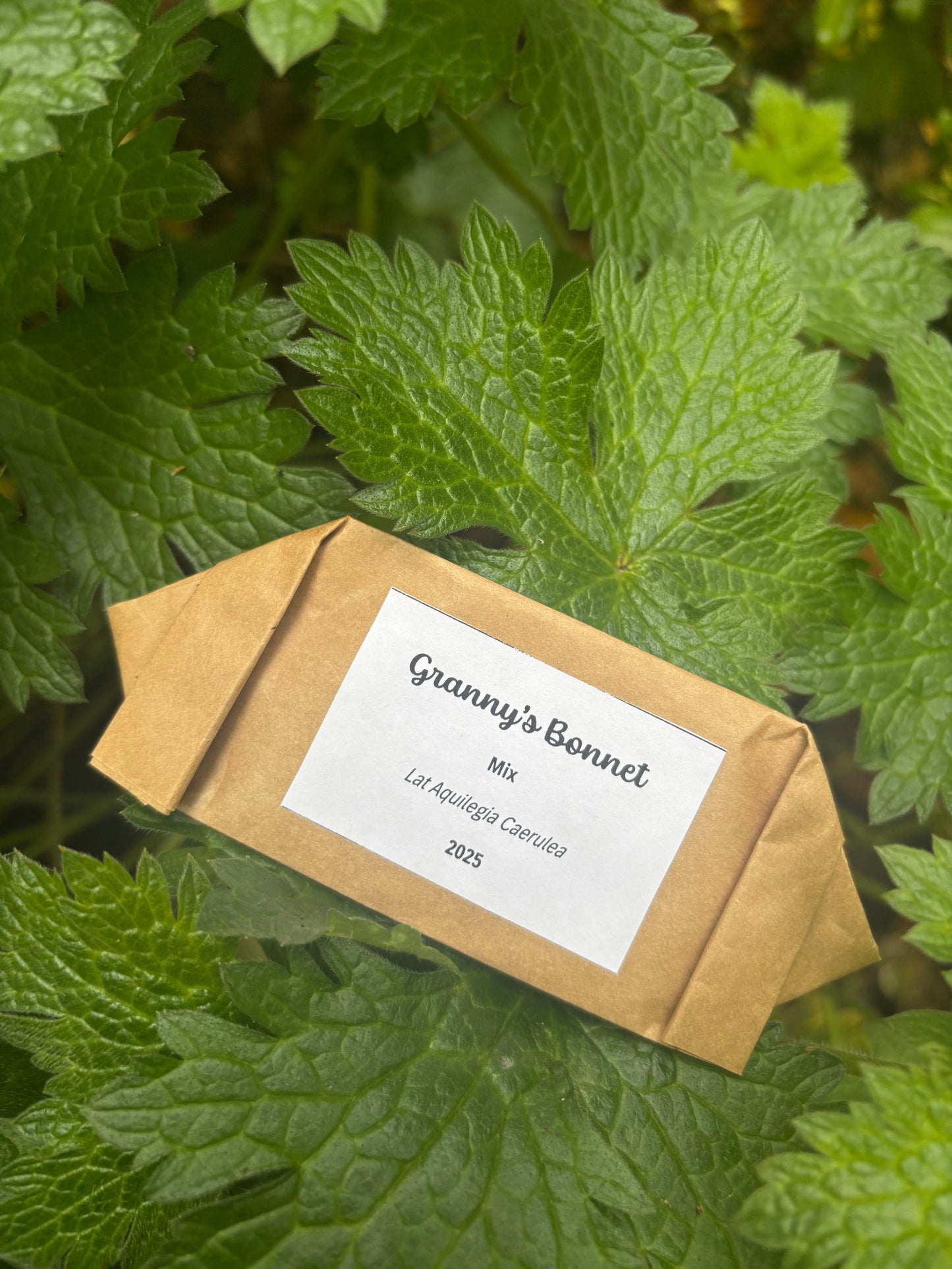 Parsonage Garden Flower Seeds