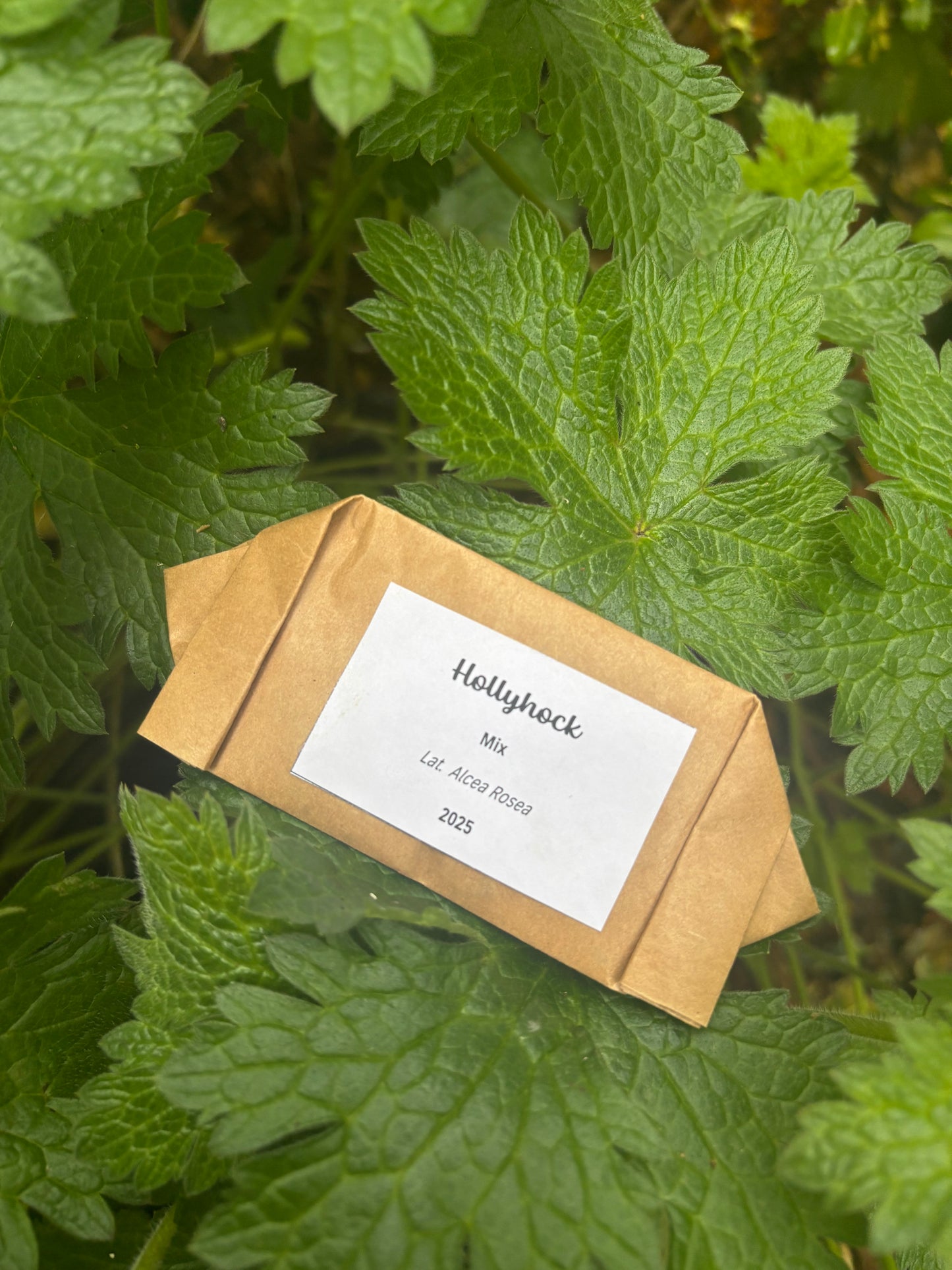 Parsonage Garden Flower Seeds