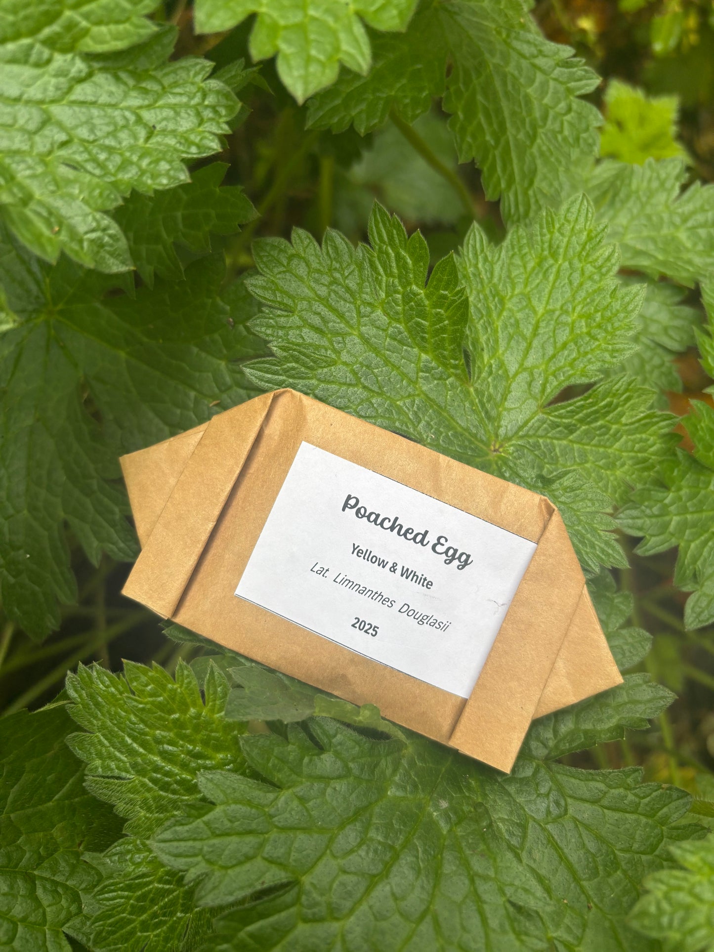 Parsonage Garden Flower Seeds