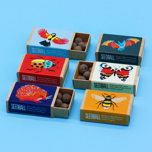 Seedball Box