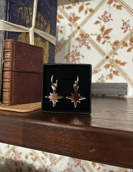 Earrings: small bronze star earrings