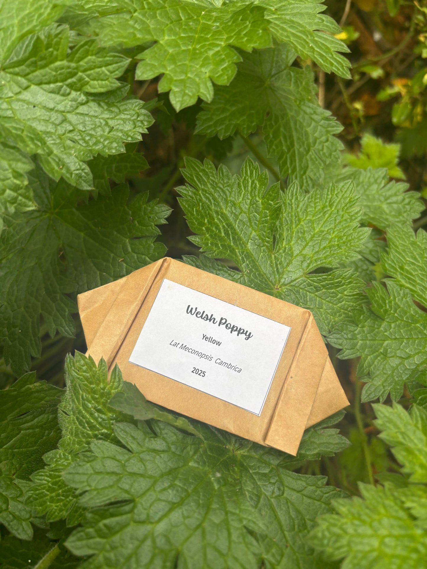 Parsonage Garden Flower Seeds