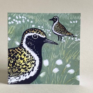 Greetings Card: Golden Plover by Angie Rogers