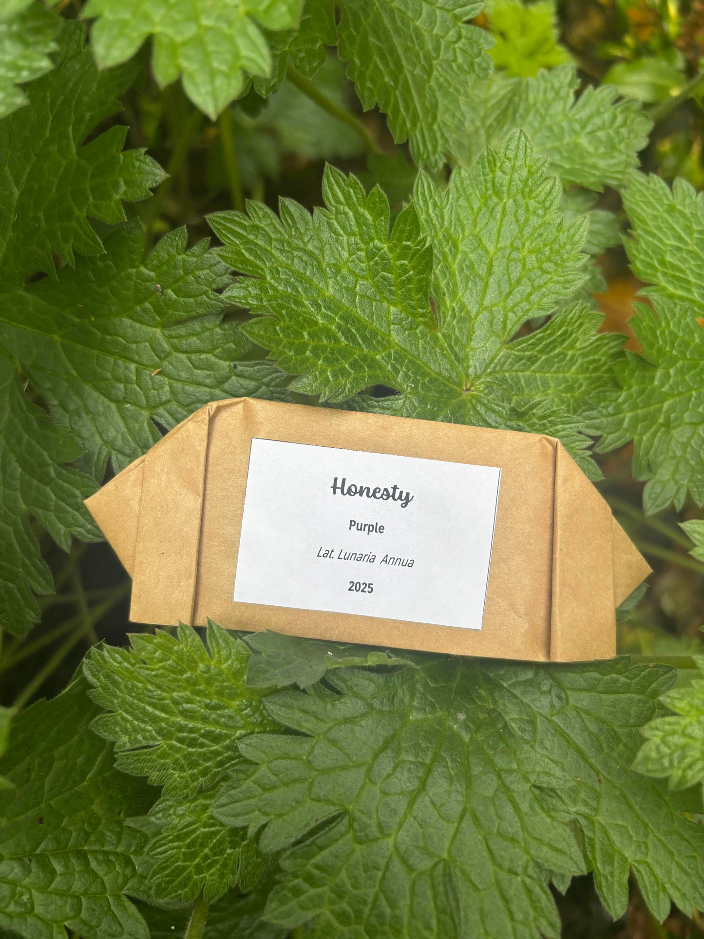 Parsonage Garden Flower Seeds