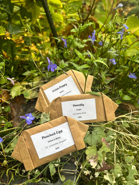 Parsonage Garden Flower Seeds
