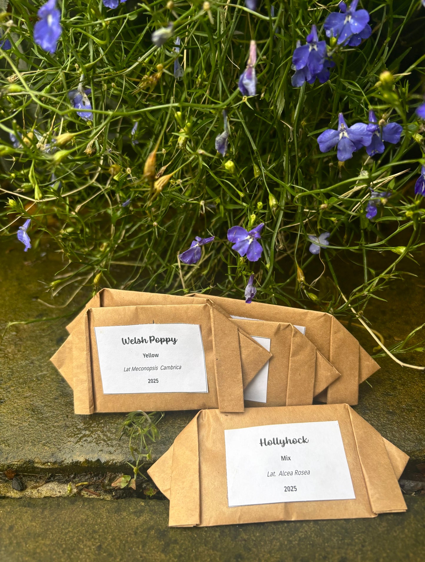 Parsonage Garden Flower Seeds